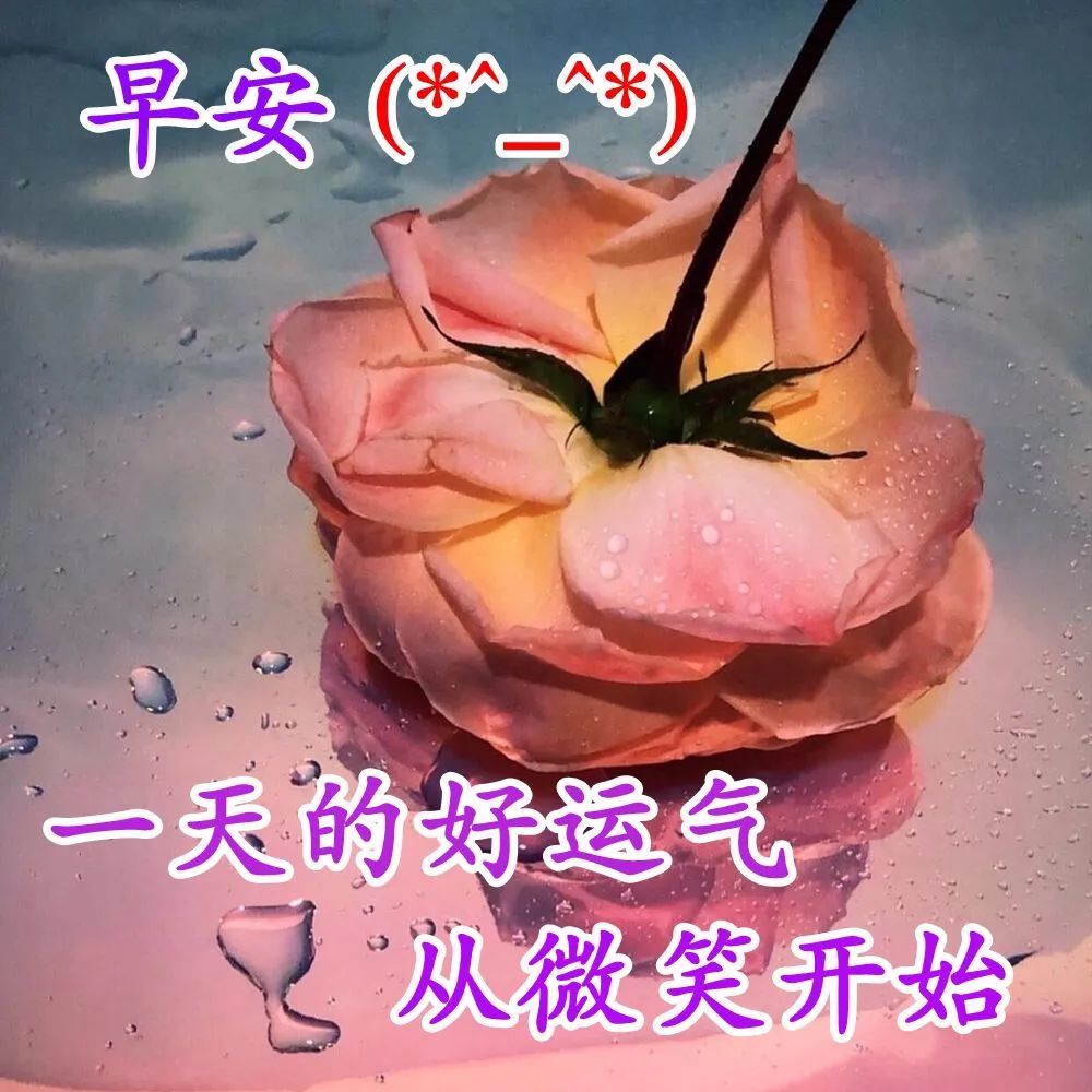 8月7日群发早晨好问候祝福动态表情图片 周五早安祝福