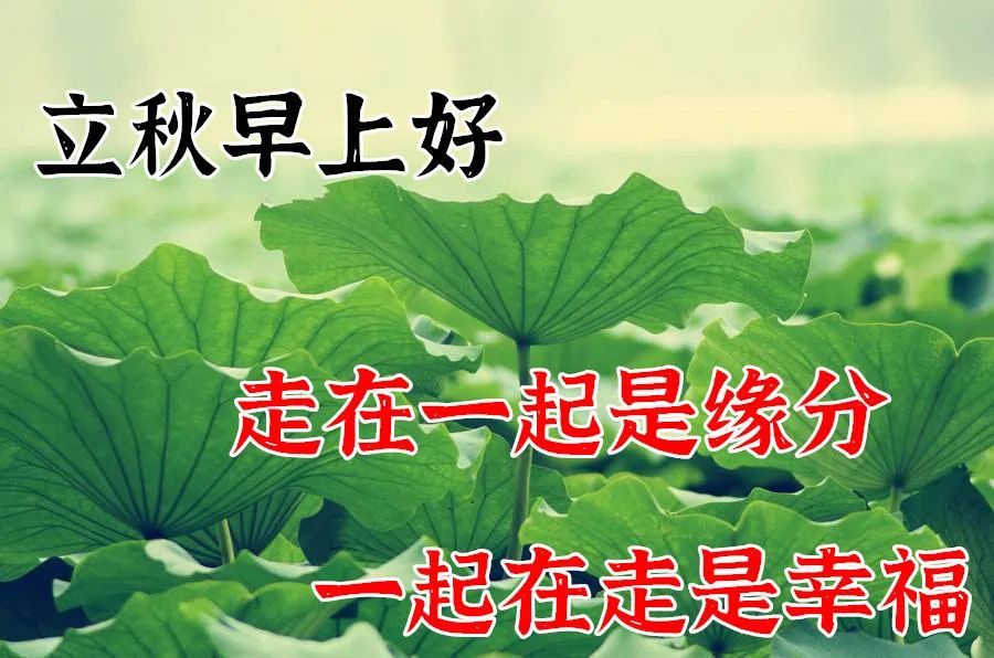 立秋节气带字图片 立秋唯美壁纸祝福图片 立秋温馨提示短信2021全新