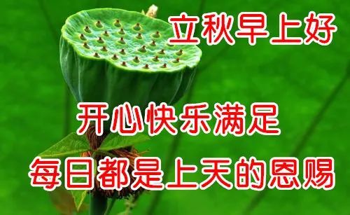 超级漂亮唯美的立秋气节问候语大全立秋海报壁纸祝福图片立秋群发朋友
