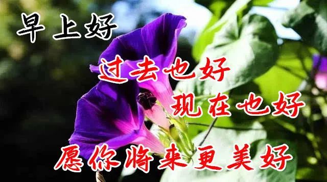 立秋海报壁纸祝福图片 立秋群发朋友圈的祝福语问候大家早上好的句子