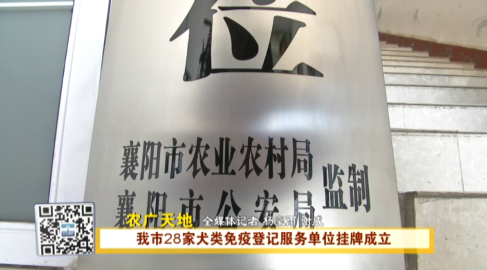 襄阳28家犬类免疫登记服务单位挂牌成立！