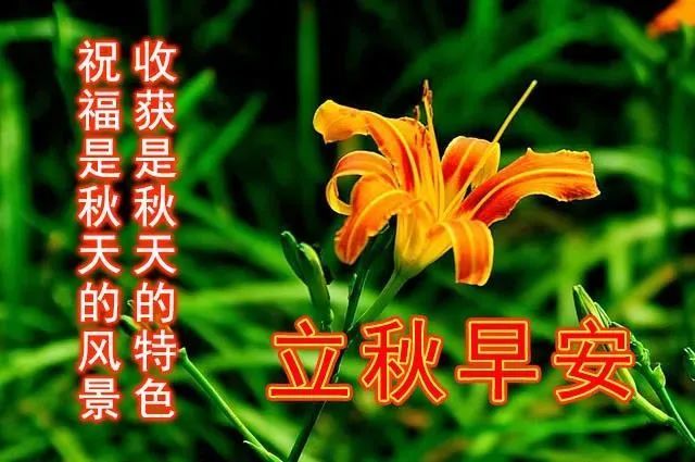 8月7日立秋最漂亮的早上好祝福语图片温馨清晨群发短语暧心问候动图