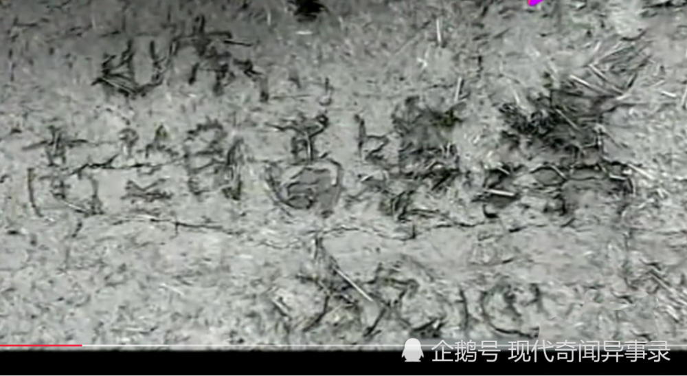 "民警"告诉他:他们俩就叫高延津,高登民,一直是他们在背着黄延秋飞行.