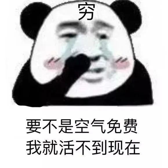 表情包 你说的都对