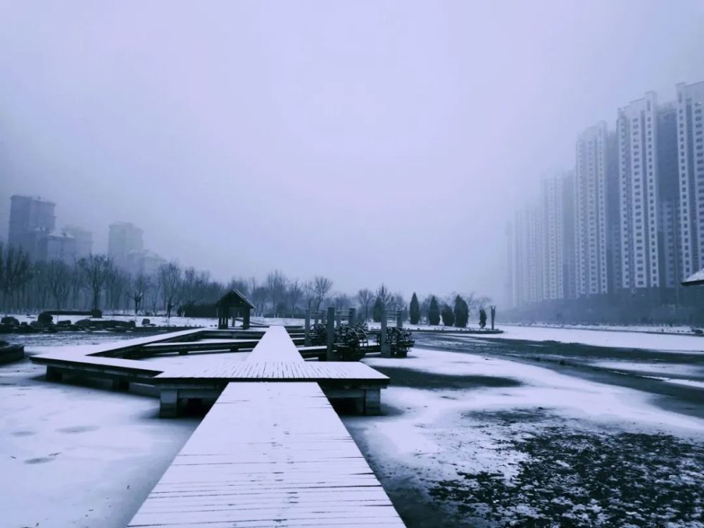 津南有多少人口_南开大学津南校区图片