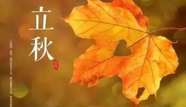 立秋文案:立秋不悲秋,好事一整秋