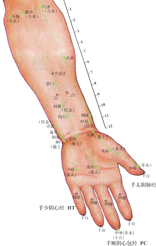 孔最穴——你该了解的全能王!
