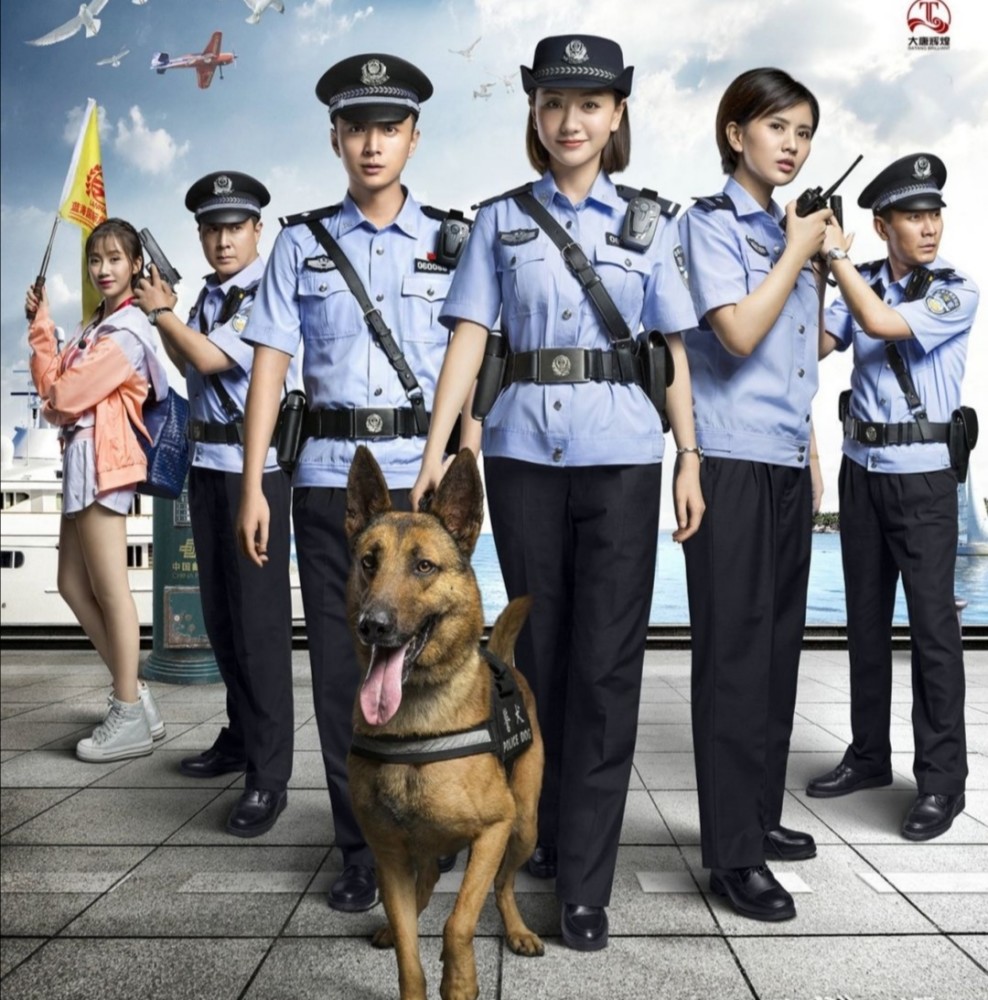 7部关于警犬神犬的电视剧,你们最喜欢哪一部?