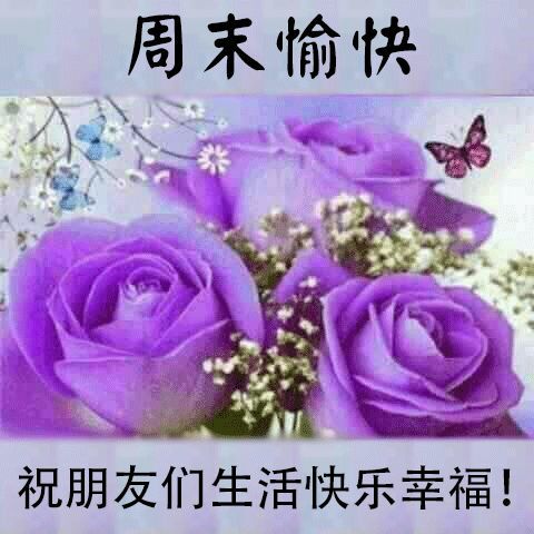 天生乐观无忧愁,周末散尽还复来,祝你天天都有周末的好心情,压力烦恼