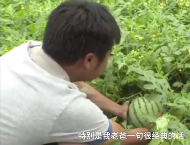 湖南省常德市发生一件事情地址在汉寿县真实情况让人称赞