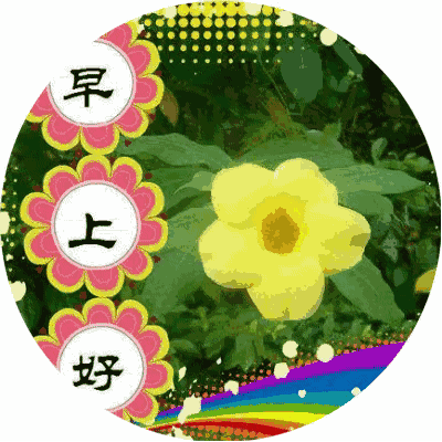 早上好祝福语大全大家早上好图片大全