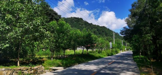 夏末走进秦岭涝峪山避暑松林河