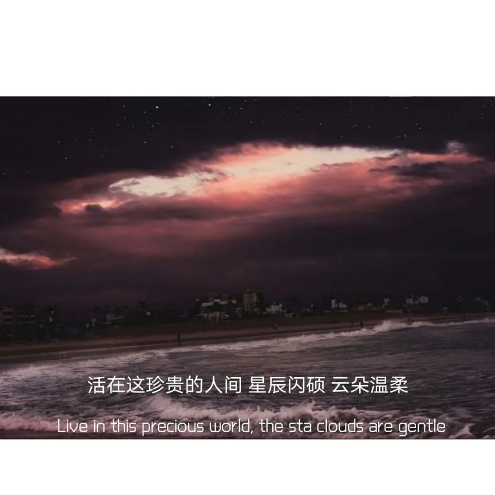 配图‖浪漫一生 温柔赴死