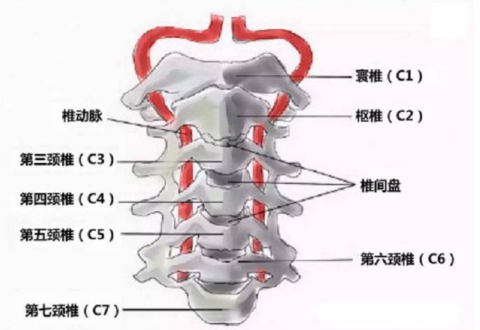 颈型颈椎病造成的颈椎疼痛难忍,如何更好的保守治疗和保养_腾讯新闻