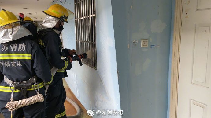 宠物也有“熊孩子”，这次把燃气管道咬断了