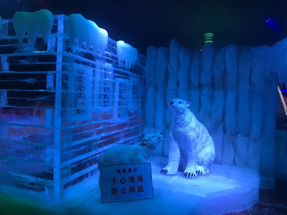 下渚湖冰雪世界是由2018年 哈尔滨 冰雕大赛金奖获得者团队操刀雕刻.
