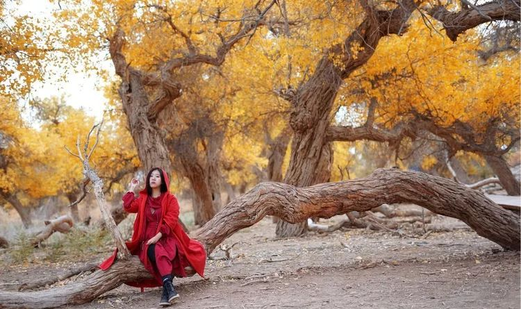 等你的季节曲谱_宝岛台湾等你归航曲谱(3)