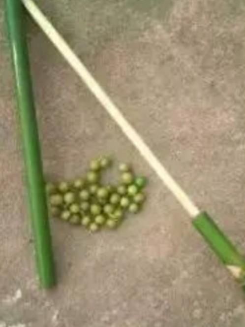竹筒炮,小时候的心爱玩具,满满的都是快乐的味道