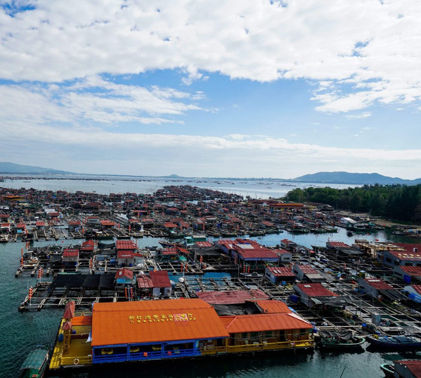 组建陵水疍家产业联盟 联合南湾猴岛景区,疍家渔排及周边商家组成