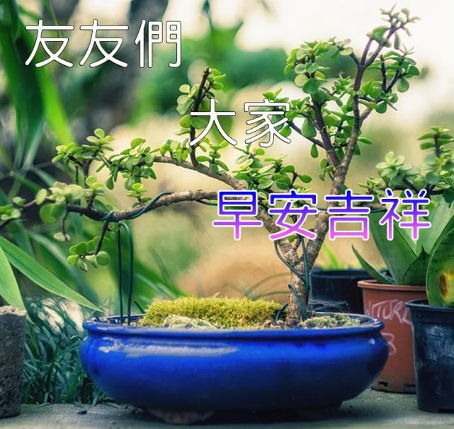 早上好祝福语大全 早上好祝福你