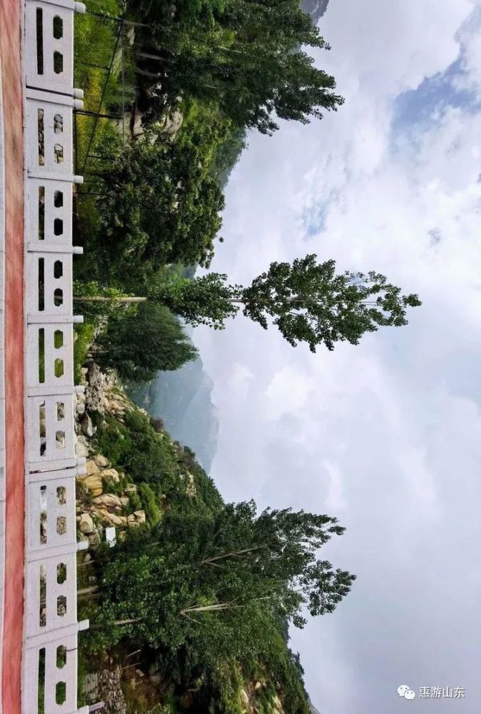 今天走进的沙岭村,是山东省泰安市泰山景区大津口乡下辖的9个行政村之