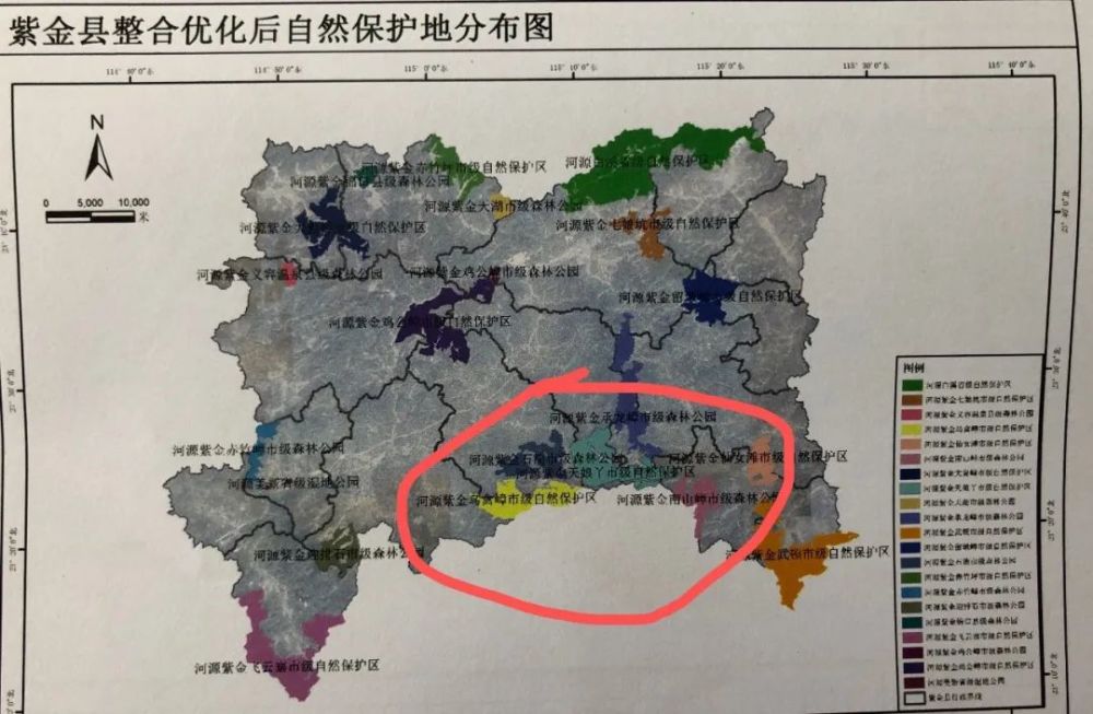 河源紫金县龙窝镇区域存在一个中华穿山甲野外种群
