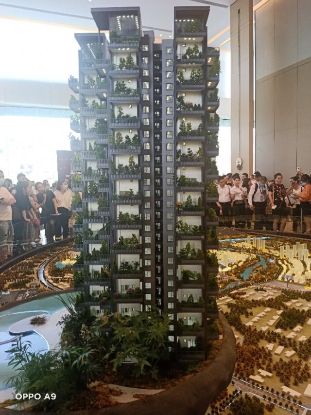 房价持续上涨了小半年，下半年会跌吗？