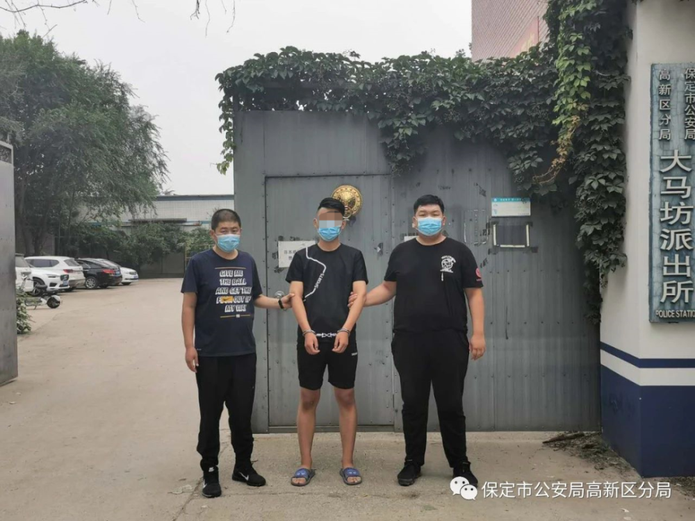 案情通报,多人被保定警方依法处理!