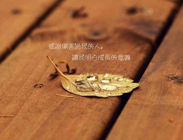 人情薄如纸,人心狠如狼,社会太现实,人心太复杂!