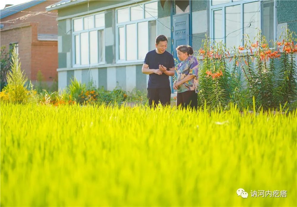 讷河市全胜村:房前屋后种水稻,走上致富快车道!