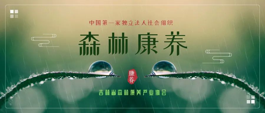 王志新出任吉林省森林康养产业协会会长