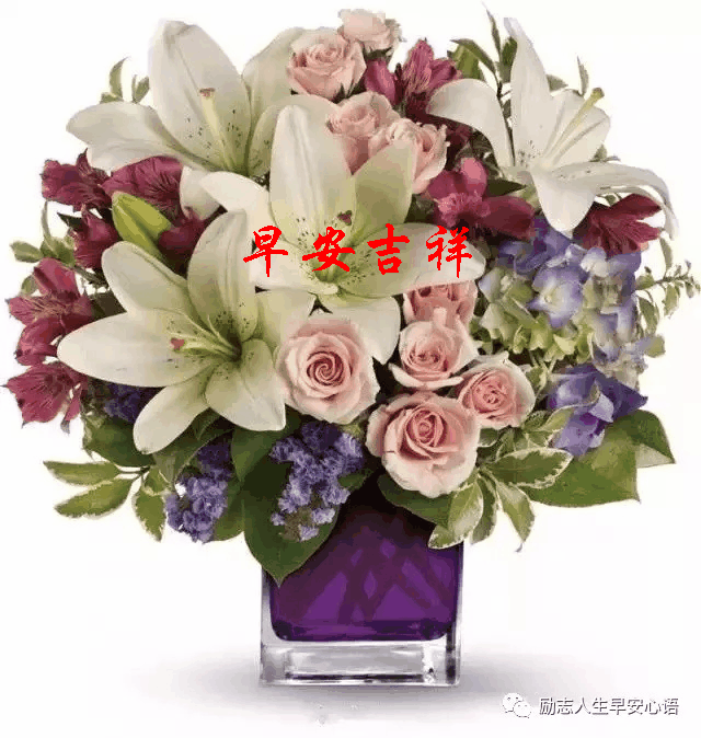 送上我美好的心愿 祝我的朋友开心快乐 问候是一种甜蜜的牵挂 微信是