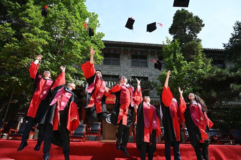 苦读8年，拿了博士学位却放弃从医？