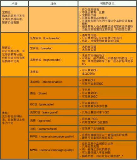 30多万买来的布偶猫患腹水死去，纯种猫狗的悲哀……