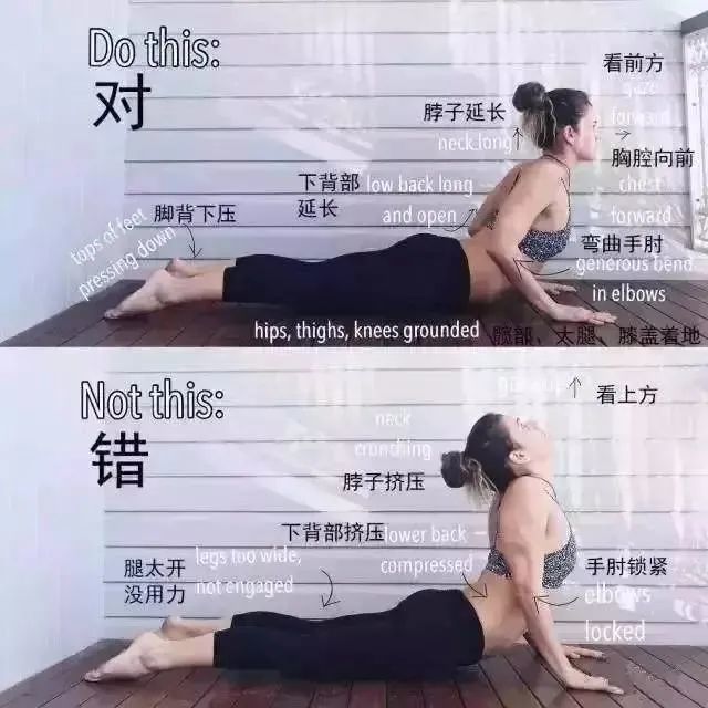 瑜伽眼镜蛇式-增强脊柱的柔韧性，缓解背部酸痛