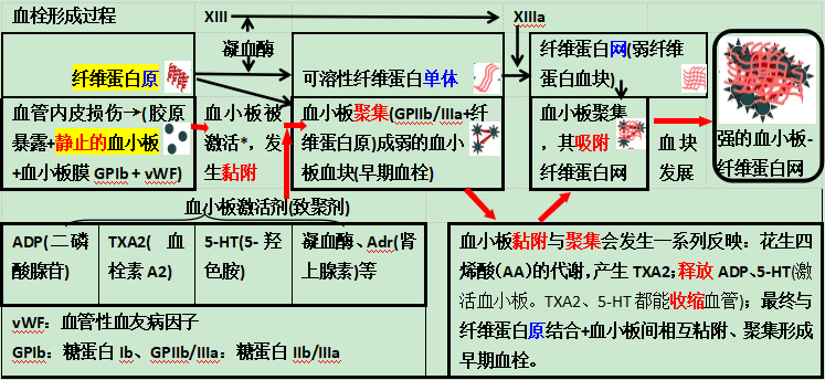 阿司匹林氯吡格雷替格瑞洛一图理清抗血小板药物作用机制