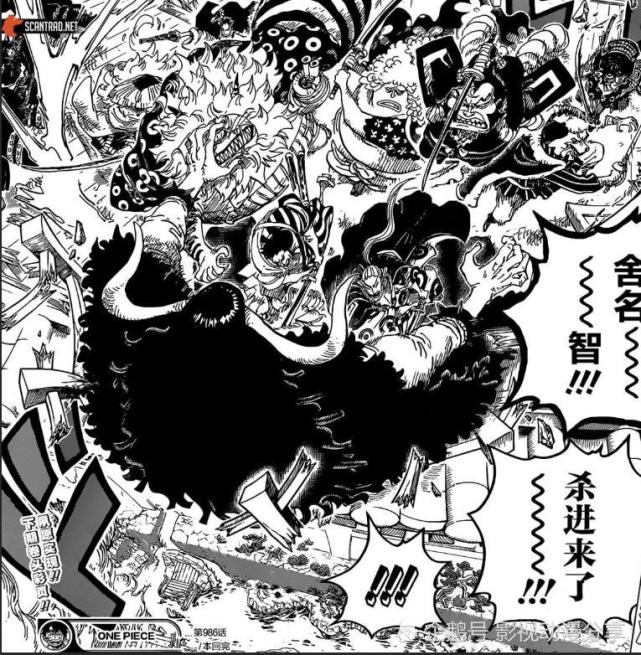 海贼王:以藏可能会战死!