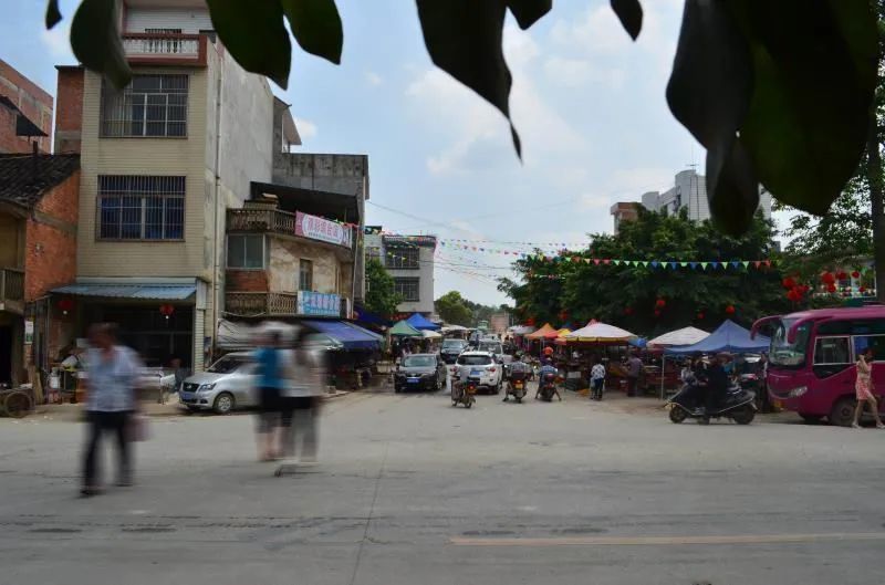 一张泛黄的旧地契,重现武鸣腾翔建圩始末