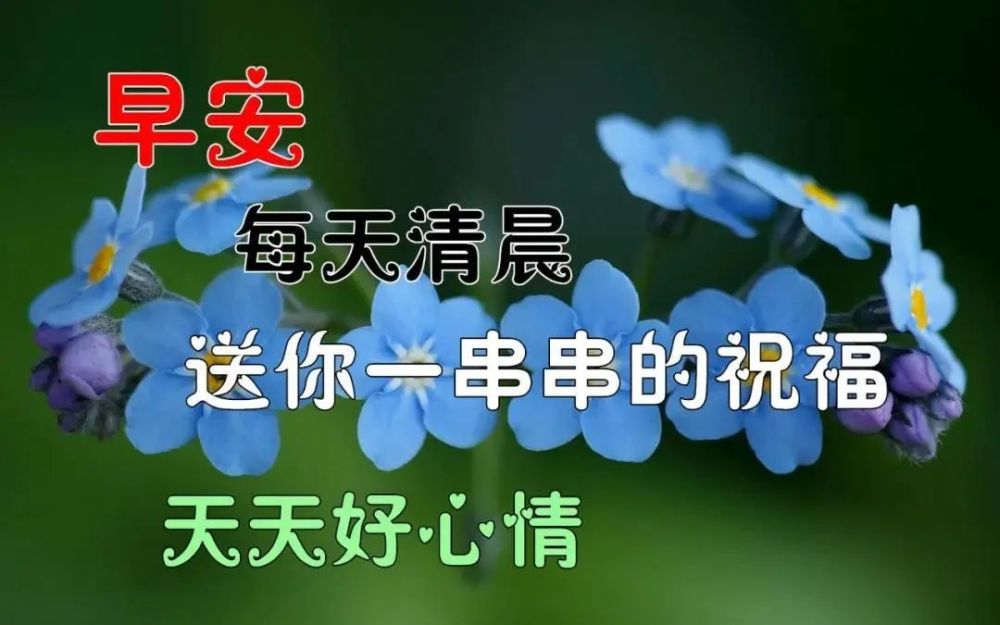 中老年表情包平平安安幸福到老