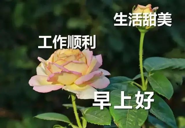 中老年表情包平平安安幸福到老