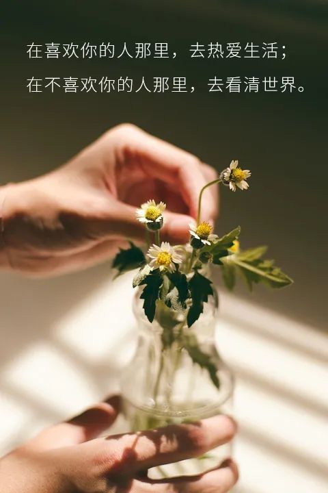 在喜欢你的人那里,去热爱生活;在不喜欢你的人那里,去看清世界.