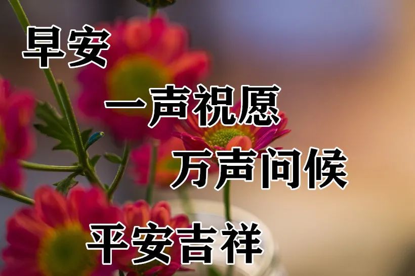 早上好2021新版早上好问候语大全 秋日季节最新早安祝福语 早晨好动