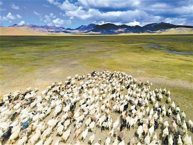 西藏行阿里故事：一路追逐 一路感动