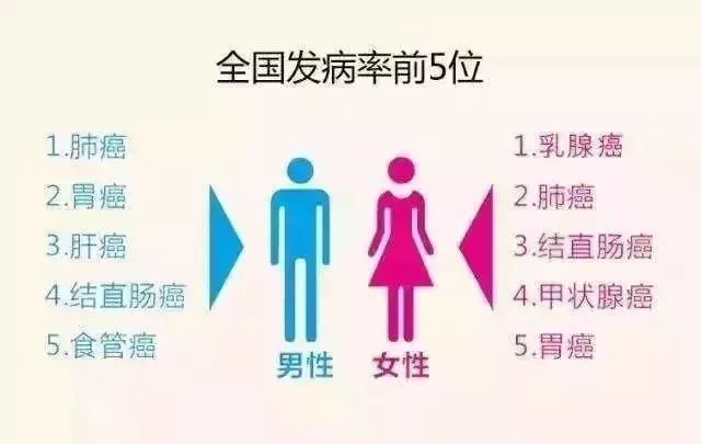 “头号养胃王”！饭前吃一粒，缓解胃疼，抑制幽门螺杆菌！