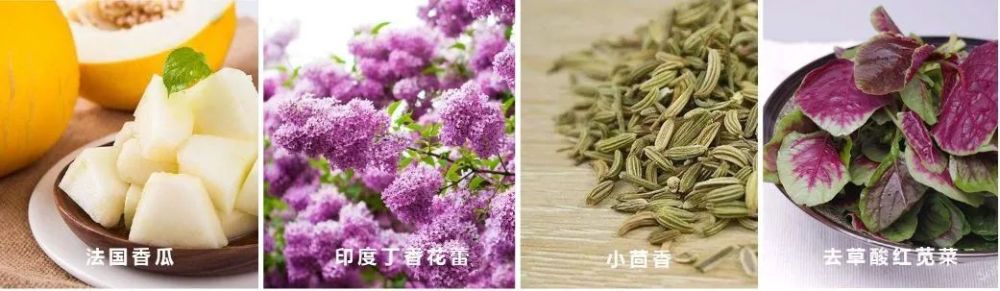 “头号养胃王”！饭前吃一粒，缓解胃疼，抑制幽门螺杆菌！