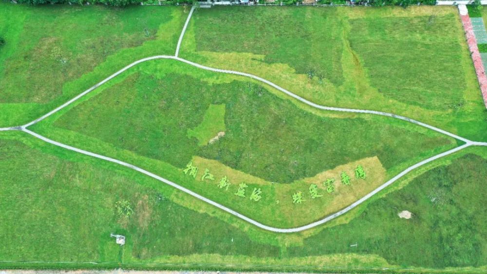 造纸厂变身绿地公园!富阳出现了一个超大草坪,相当于4.5个足球场!