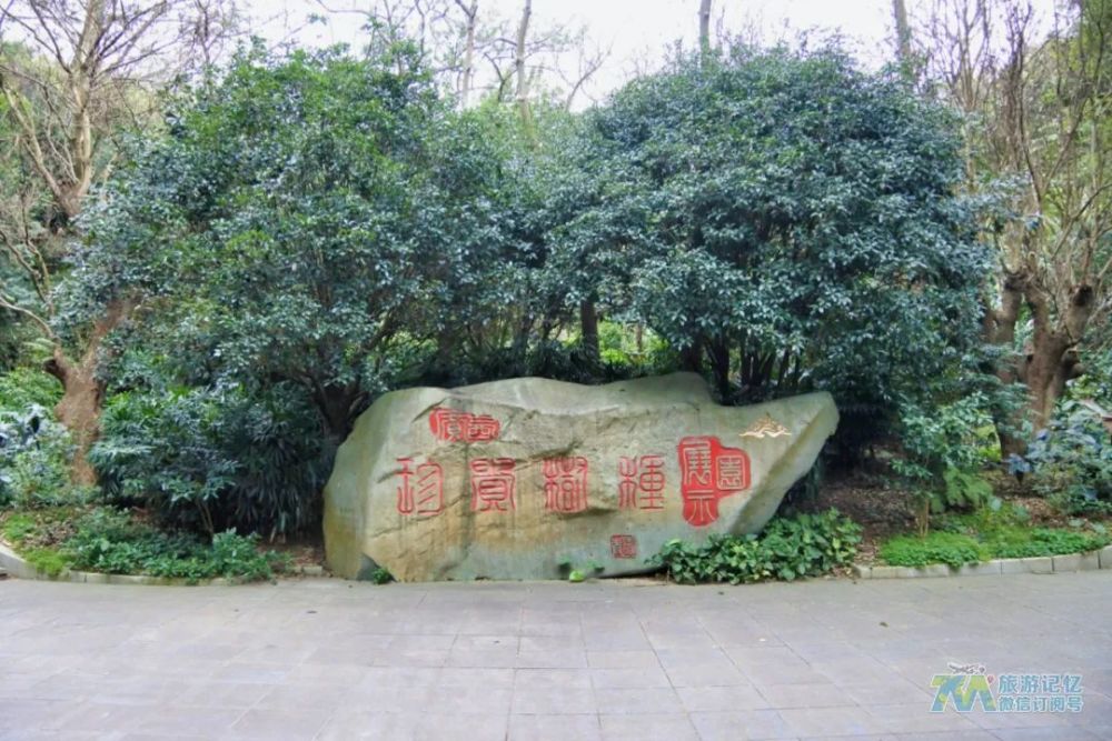 塔影天池,千年苏铁园,雨林大观以及青秀山友谊长廊等,还有古迹董泉,撷