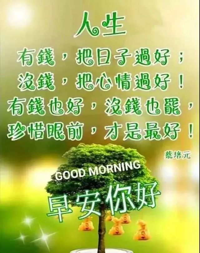 天冷了最美最暖心的清晨问候祝福语短信,很入心的早安
