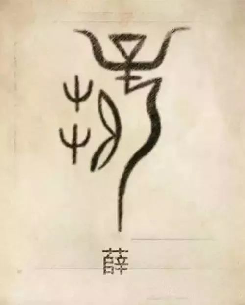 中国姓氏图腾,快瞅瞅你的姓氏图腾长啥样?