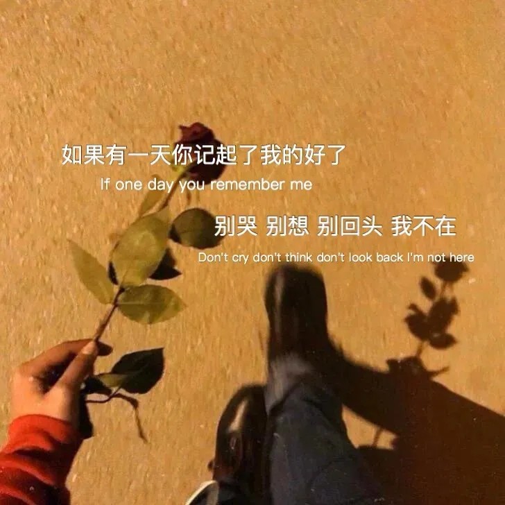 文字背景图‖曲终人散皆是梦 繁华落尽一场空